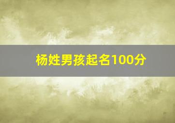 杨姓男孩起名100分,杨姓男孩起名字大全免费2024