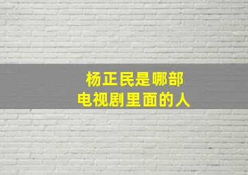 杨正民是哪部电视剧里面的人,杨正民是哪部电视剧里面的人物角色