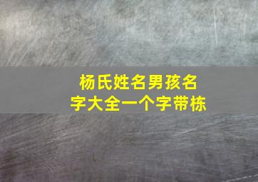 杨氏姓名男孩名字大全一个字带栋,怎么给小孩取名带朱姓和杨姓四个字的