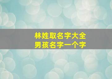 林姓取名字大全男孩名字一个字,孩子姓林起什么名字好