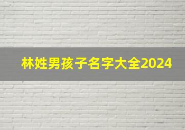 林姓男孩子名字大全2024,林姓的男孩名