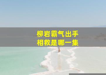 柳岩霸气出手相救是哪一集,柳岩出场