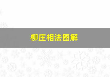 柳庄相法图解,《柳庄相法》