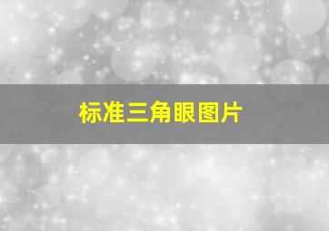 标准三角眼图片,为什么大人物都是三角眼