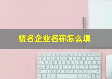 核名企业名称怎么填,核名企业名称怎么填写才正确