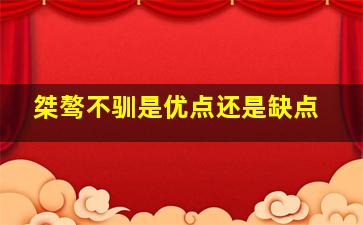 桀骜不驯是优点还是缺点,师徒四人各自的优缺点是什么