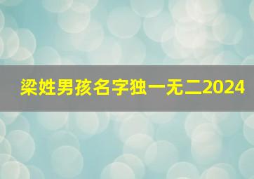 梁姓男孩名字独一无二2024,梁姓男孩名字独一无二梁姓轩字起名