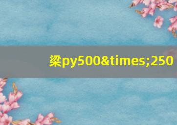 梁py500×250,梁vip