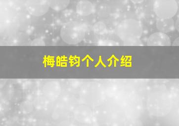 梅皓钧个人介绍,梅皓商贸有限公司