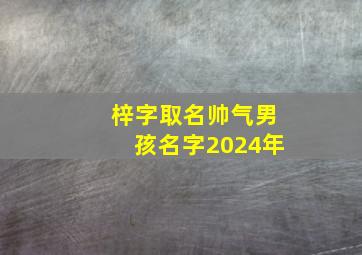 梓字取名帅气男孩名字2024年,梓字取名男孩霸气名字