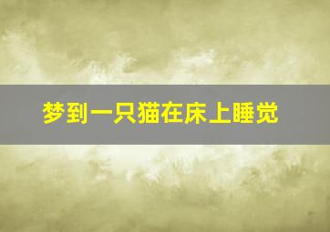 梦到一只猫在床上睡觉,梦 猫在我床上睡觉