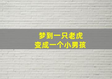 梦到一只老虎变成一个小男孩,梦见小老虎变成小男孩