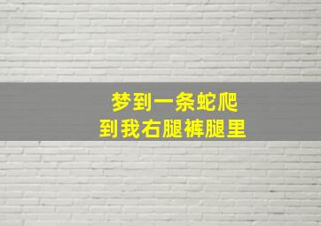 梦到一条蛇爬到我右腿裤腿里,梦见蛇钻进右腿又被挤出来