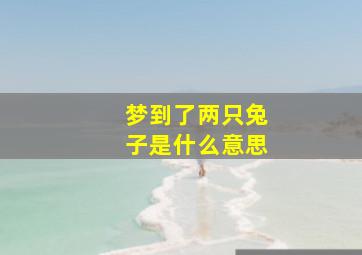 梦到了两只兔子是什么意思,梦见两只兔子什么预兆