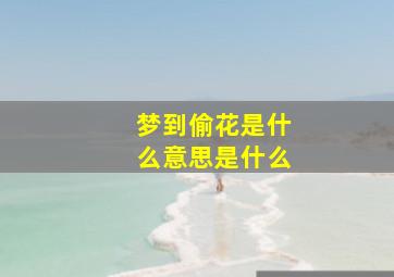 梦到偷花是什么意思是什么,做梦偷花是什么意思