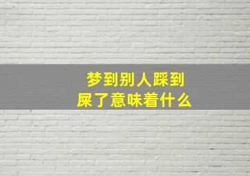 梦到别人踩到屎了意味着什么,梦见别人踩到屎意味着什么