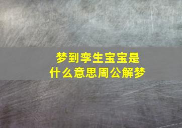 梦到孪生宝宝是什么意思周公解梦,