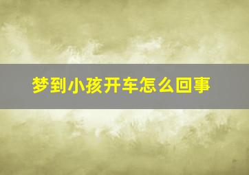 梦到小孩开车怎么回事,梦见小孩儿开车