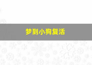 梦到小狗复活,梦到小狗复活了