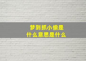 梦到抓小偷是什么意思是什么,梦见抓小偷啥意思