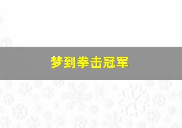 梦到拳击冠军,梦到自己打拳击比赛取得冠军