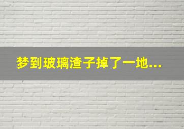 梦到玻璃渣子掉了一地...