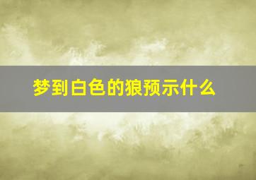 梦到白色的狼预示什么