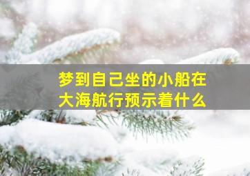 梦到自己坐的小船在大海航行预示着什么,梦见坐小船在海里