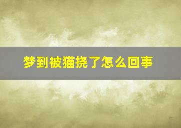 梦到被猫挠了怎么回事,梦到被猫挠了怎么回事周公解梦