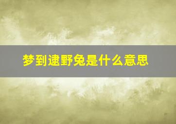 梦到逮野兔是什么意思,梦到逮野兔是什么意思啊