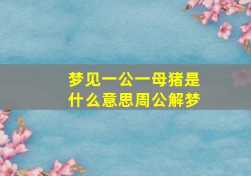 梦见一公一母猪是什么意思周公解梦,梦见一公一母猪是什么意思周公解梦女