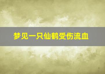 梦见一只仙鹤受伤流血,梦见仙鹤受伤从天上掉下来