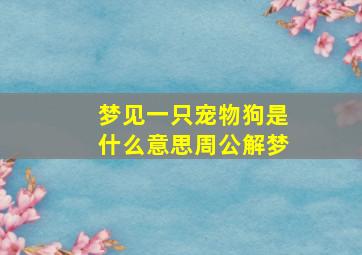 梦见一只宠物狗是什么意思周公解梦,梦里梦见一只狗