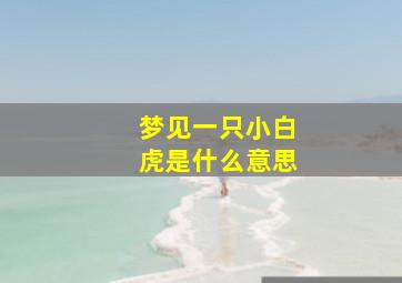 梦见一只小白虎是什么意思