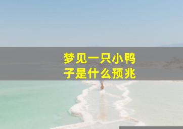 梦见一只小鸭子是什么预兆