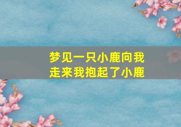 梦见一只小鹿向我走来我抱起了小鹿,做梦梦见一只小鹿跑到我身边