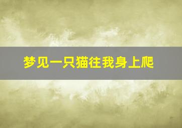 梦见一只猫往我身上爬,梦见一只猫往我身上爬什么意思