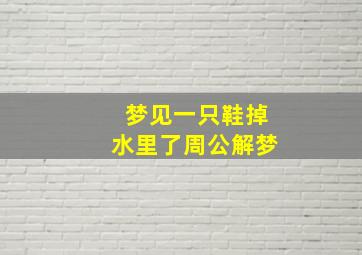 梦见一只鞋掉水里了周公解梦,梦到一只鞋掉水里了