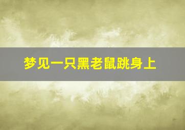 梦见一只黑老鼠跳身上