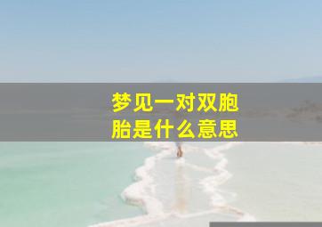 梦见一对双胞胎是什么意思