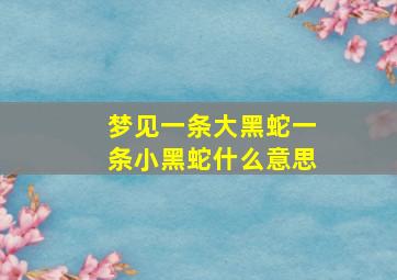 梦见一条大黑蛇一条小黑蛇什么意思,梦见一条大黑蛇一条小黑蛇什么意思呀