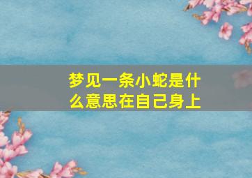 梦见一条小蛇是什么意思在自己身上