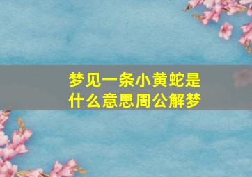 梦见一条小黄蛇是什么意思周公解梦