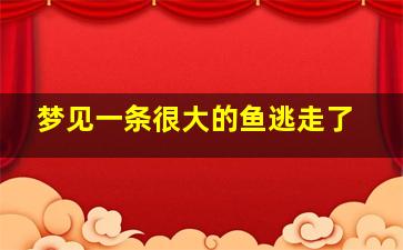 梦见一条很大的鱼逃走了