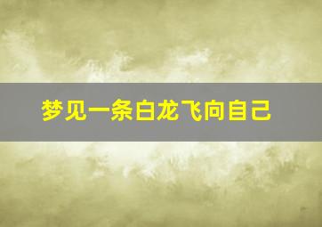 梦见一条白龙飞向自己,梦见一条白龙飞向自己什么意思