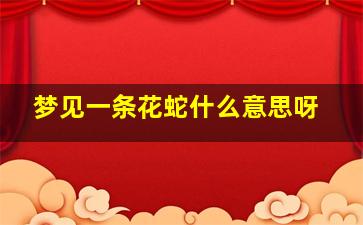 梦见一条花蛇什么意思呀,做梦梦到一条花花蛇