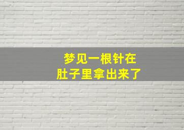 梦见一根针在肚子里拿出来了