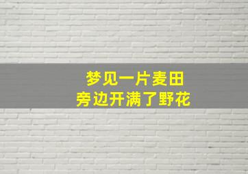 梦见一片麦田旁边开满了野花,梦到一片麦田