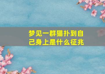 梦见一群猫扑到自己身上是什么征兆,梦见一群猫攻击我暗示什么