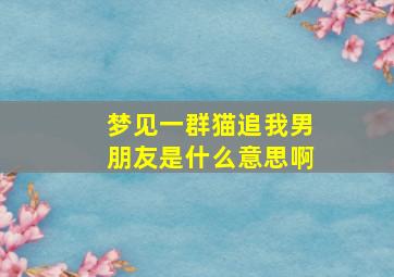 梦见一群猫追我男朋友是什么意思啊